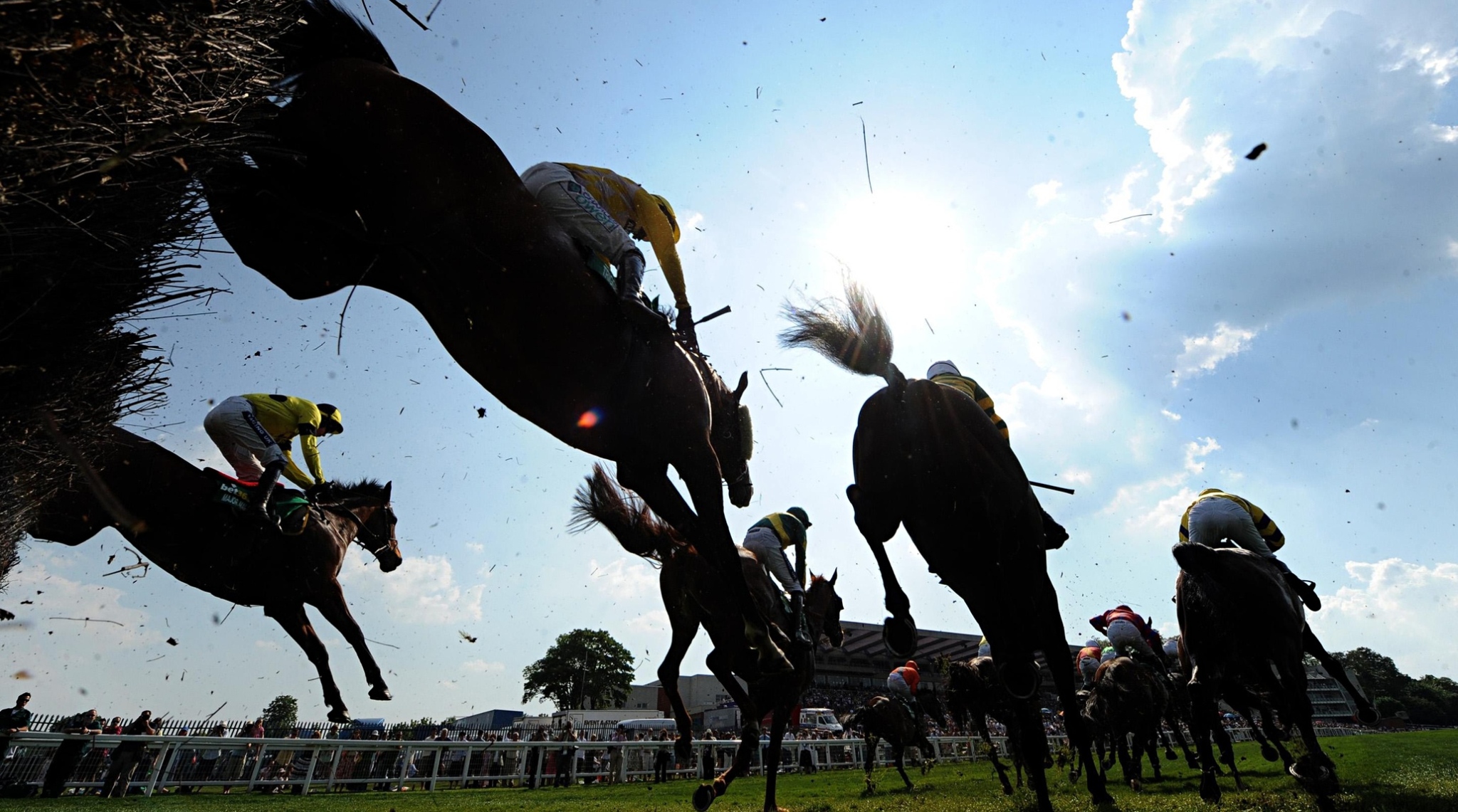 Best Horse Racing Form & Stats sites (Databases) — Punter2Pro