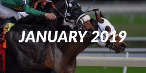 January 2019: Top Horse Racing Tipsters (Tipstrr)