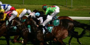 All Popular Horse Racing Bet Types Explained | Racing Markets