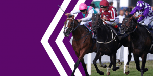 Betdaq Review & Free Bet — The 2nd Largest Betting Exchange