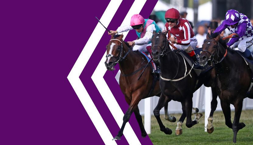 Betdaq Review & Free Bet — The 2nd Largest Betting Exchange