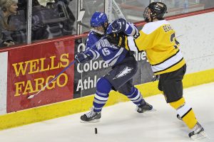 Best Ice Hockey Tipsters — Top NHL Tipster Services 2021