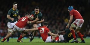 Best Rugby Tipsters | Top Tipster Services 2021