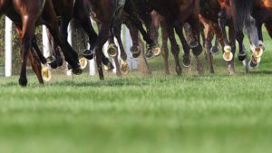 Best Sites For Horse Racing Statistics | Form Databases