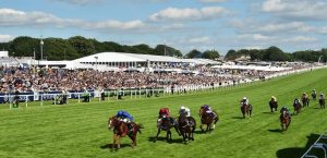 Horse Racing | 5 of the Best Festivals in the UK and Ireland