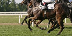 Best Horse Racing Tipsters | Top 20 Tipster Services 2022