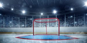 Best Ice Hockey Tipsters | Top NHL Tipster Services 2022