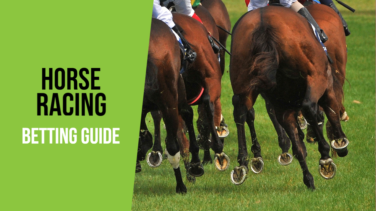 Horse Racing Betting Guide | How To Bet On Horses