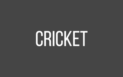 Best Sites For Free Cricket Statistics | Top Cricket Stats Websites
