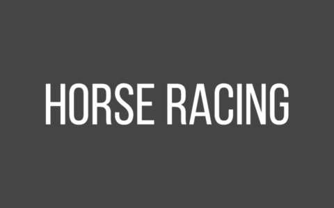 Best Sites For Horse Racing Statistics, Form & Databases
