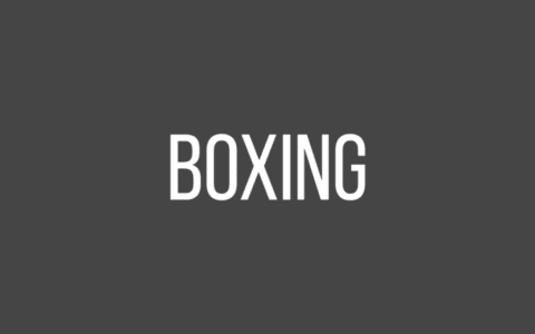 Best Sites For Boxing Statistics | Top Boxing Stats Websites