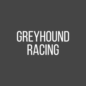 Best Sites For Free Greyhound Racing Statistics | Top Stats Websites