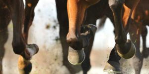 5 Must Visit Horse Racing Venues Across Ireland