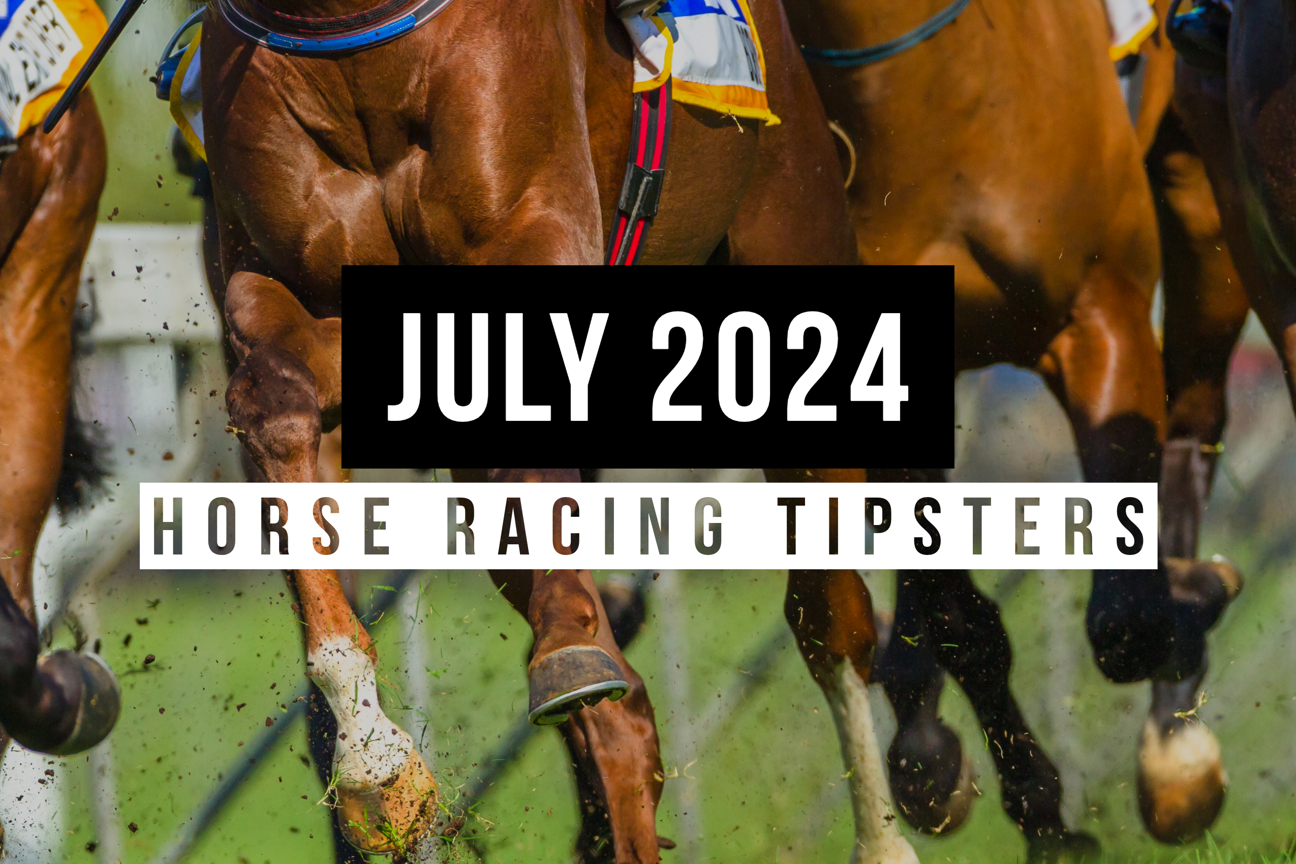 July 2024 | Top Horse Racing Tipsters Of The Month