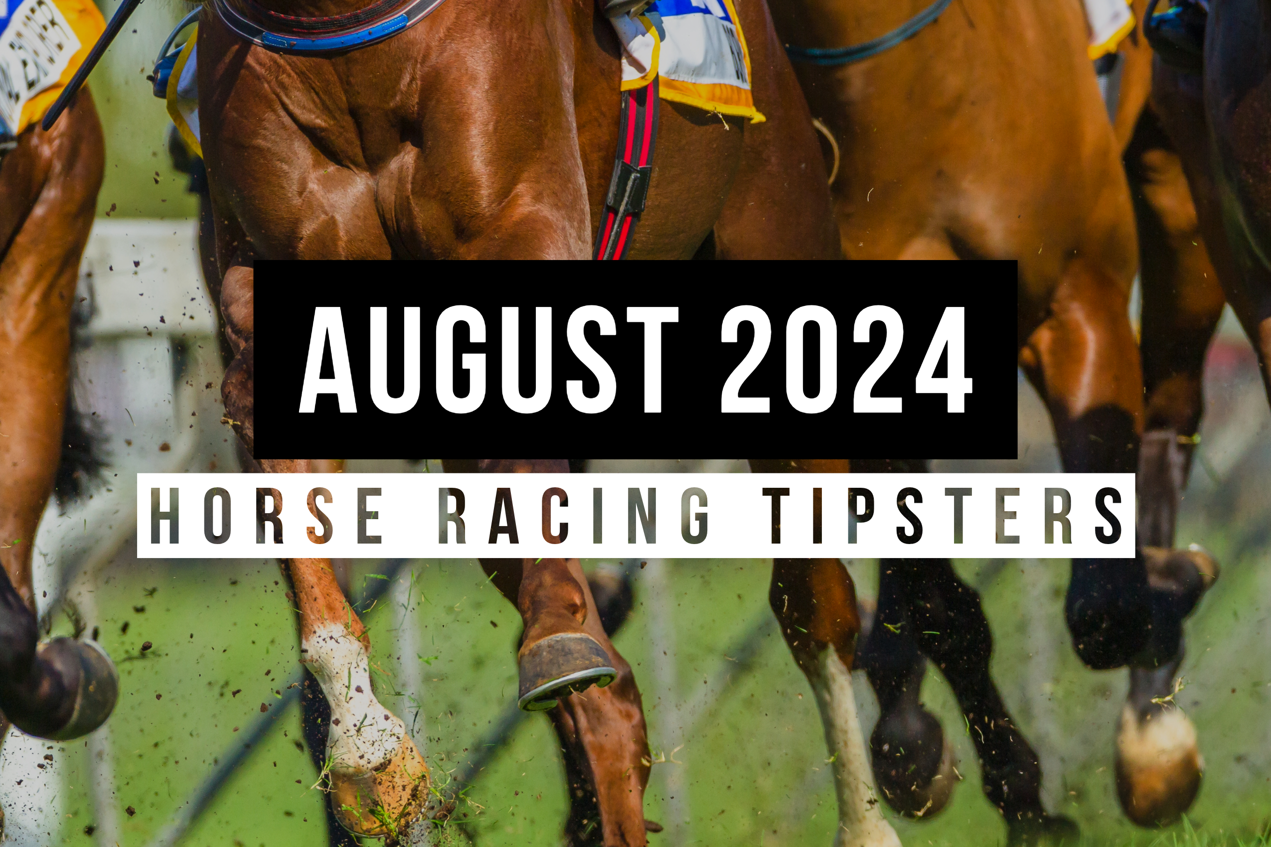 August 2024 | Top Horse Racing Tipsters Of The Month