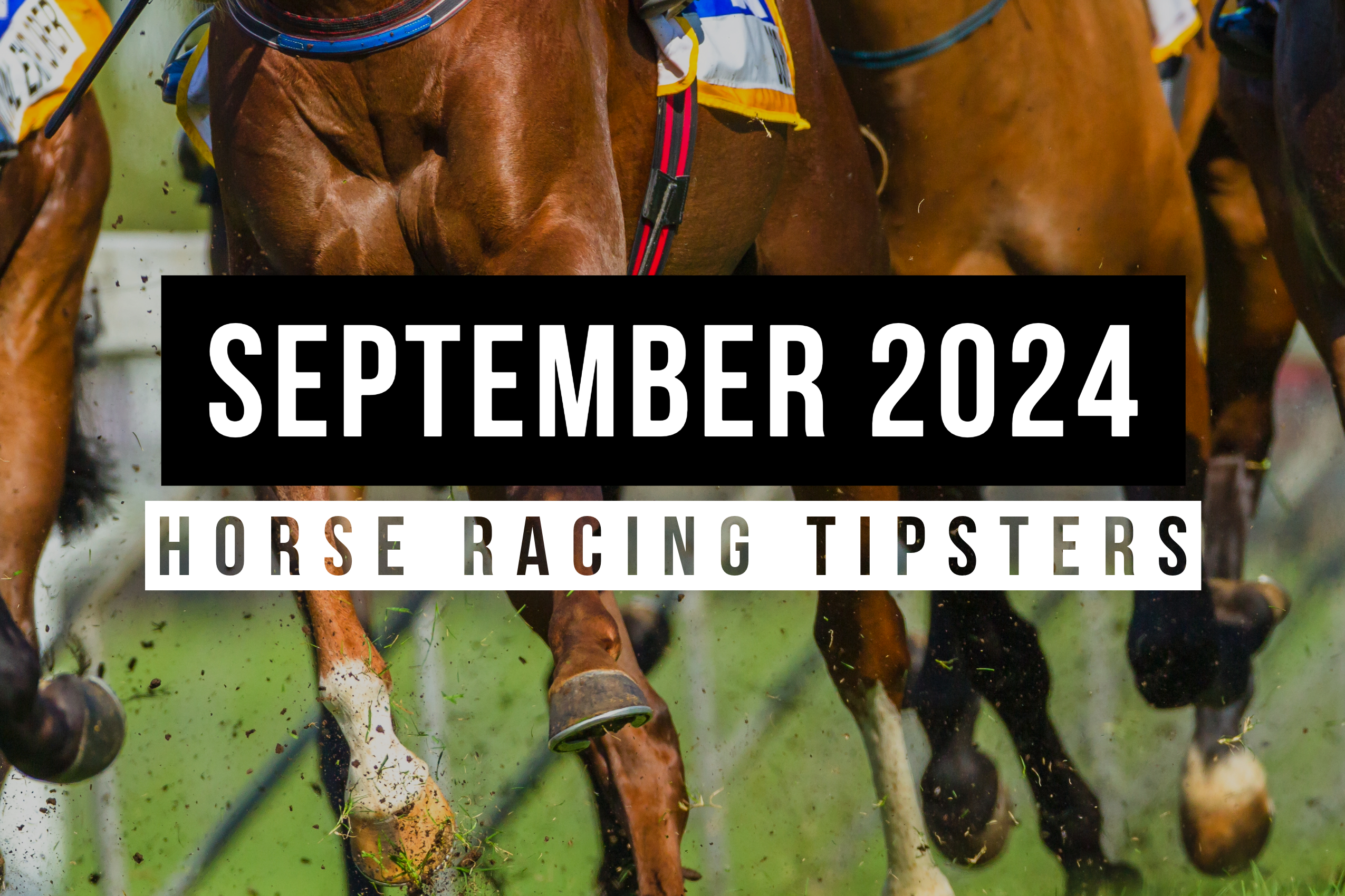 September 2024 | Top Horse Racing Tipsters Of The Month