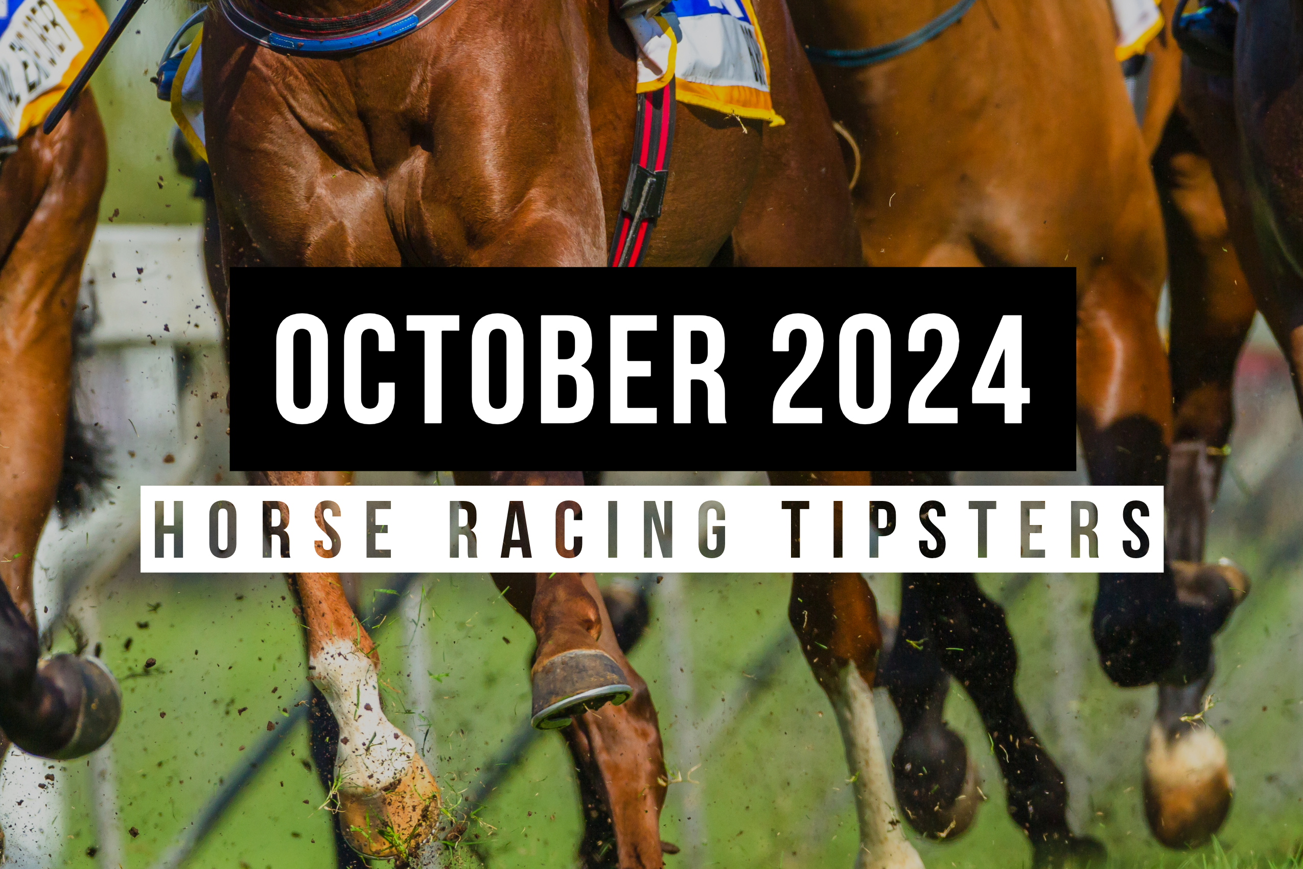 October 2024 | Top Horse Racing Tipsters Of The Month