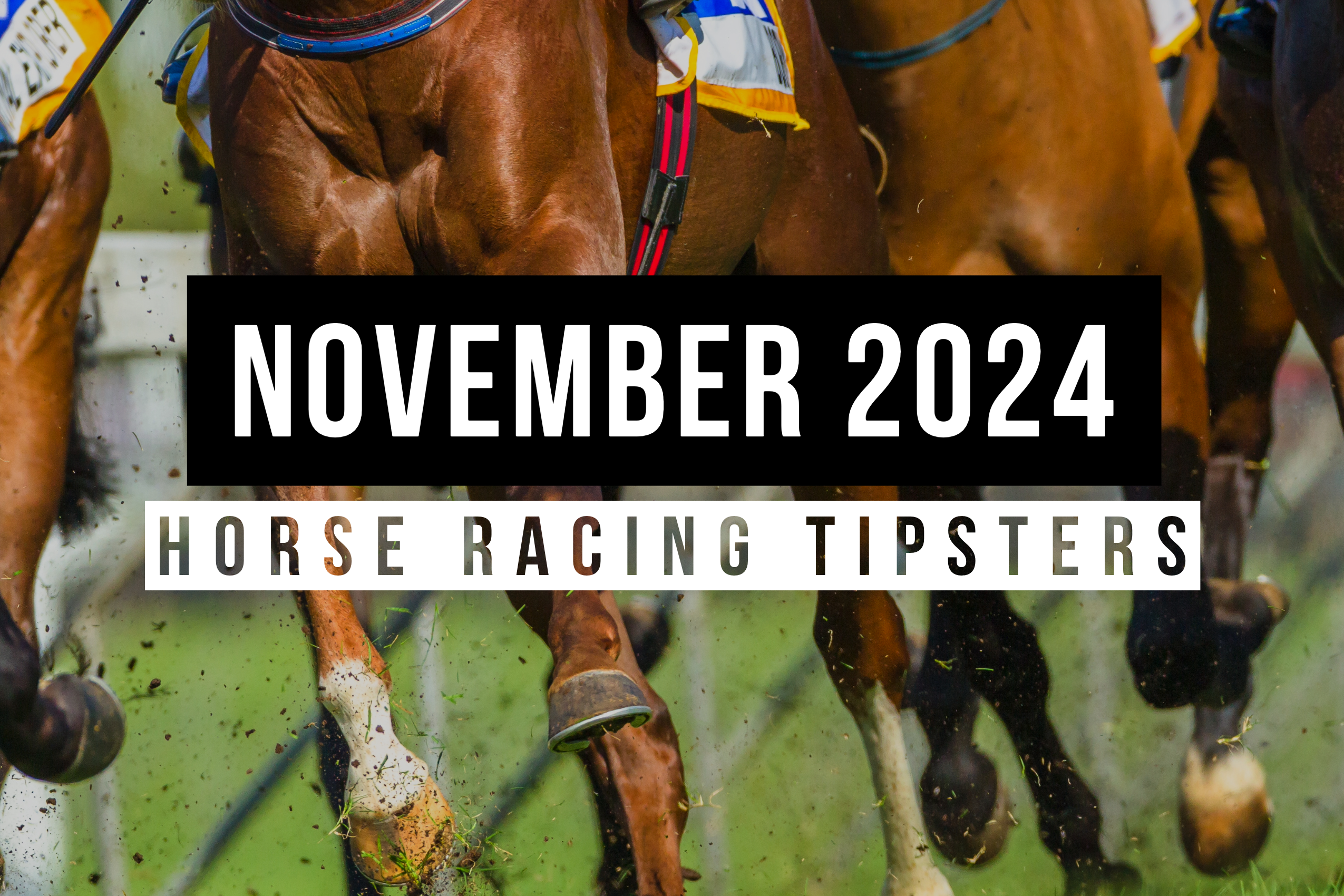 November 2024 Top Horse Racing Tipsters Of The Month