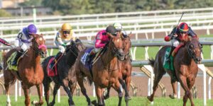 Understanding Race Classes and Grading Systems In Horse Racing
