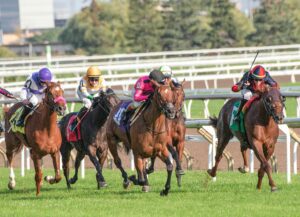 Understanding Race Classes and Grading Systems In Horse Racing
