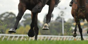 Cheltenham 2025: Galopin Des Champs, Gold Cup Glory, and Betting Value