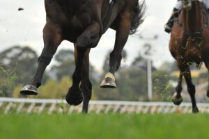 Cheltenham 2025: Galopin Des Champs, Gold Cup Glory, and Betting Value