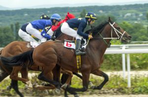 National Hunt Season Betting Strategies for UK Racing Enthusiasts