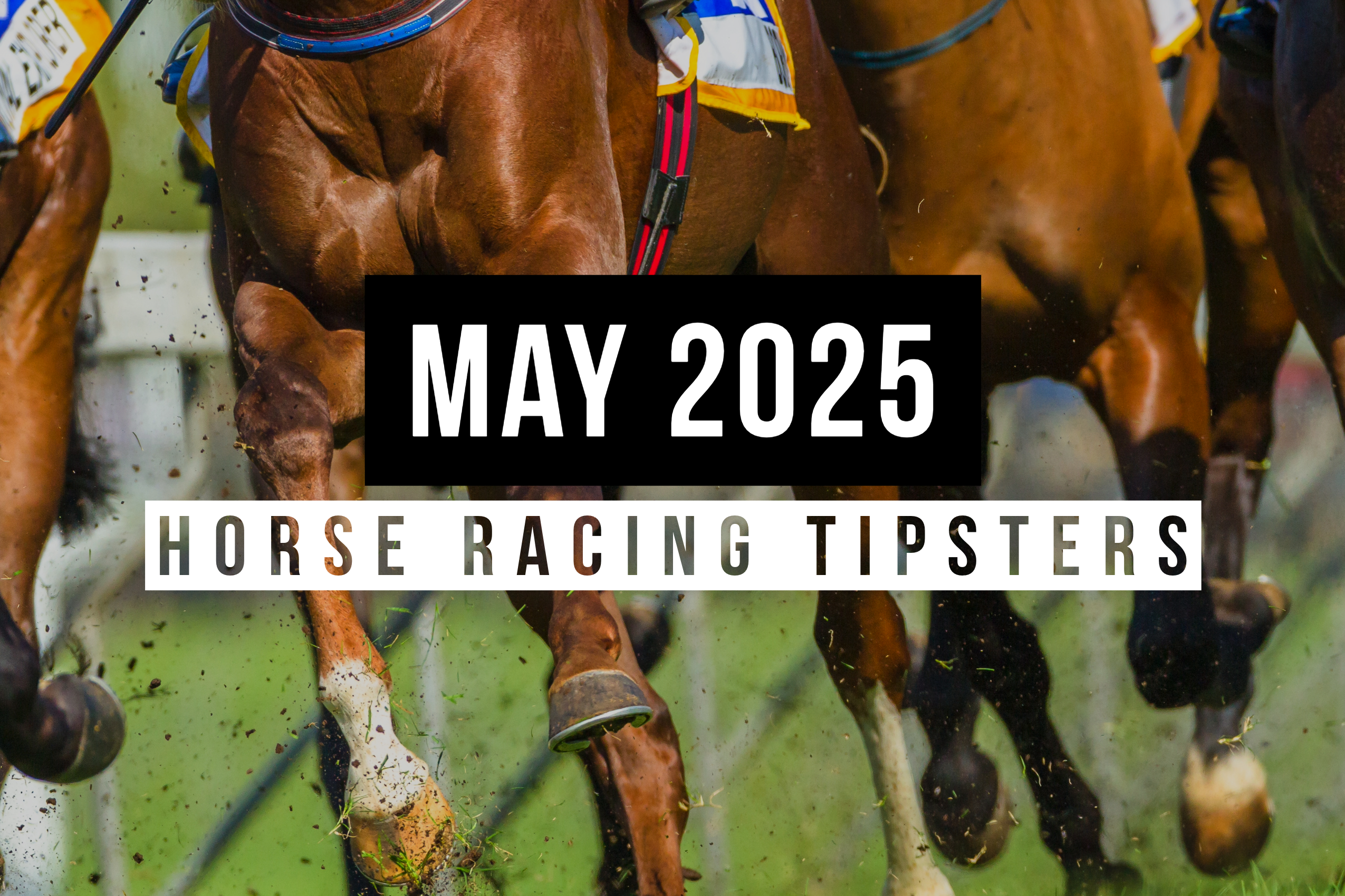 May 2025 | Top Horse Racing Tipsters Of The Month