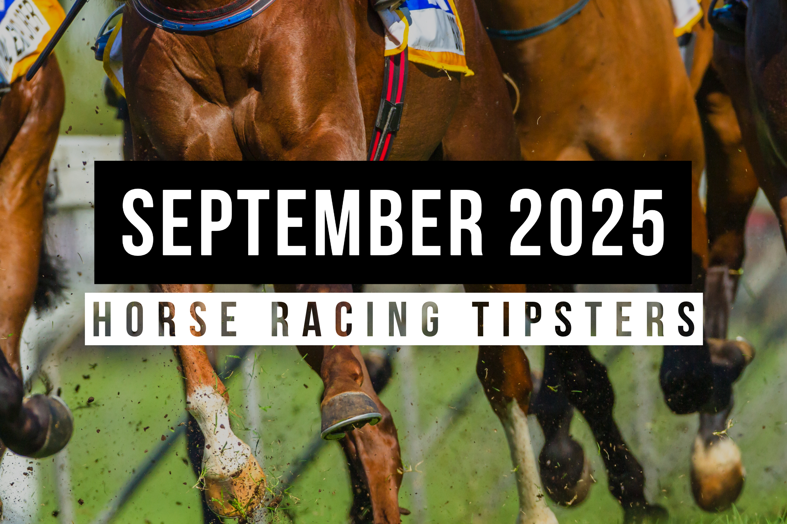 September 2025 | Top Horse Racing Tipsters Of The Month