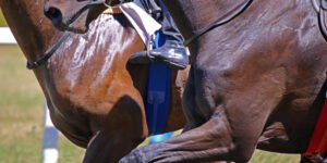 Melbourne Cup 2025: A Guide to ‘The Race That Stops the Nation’