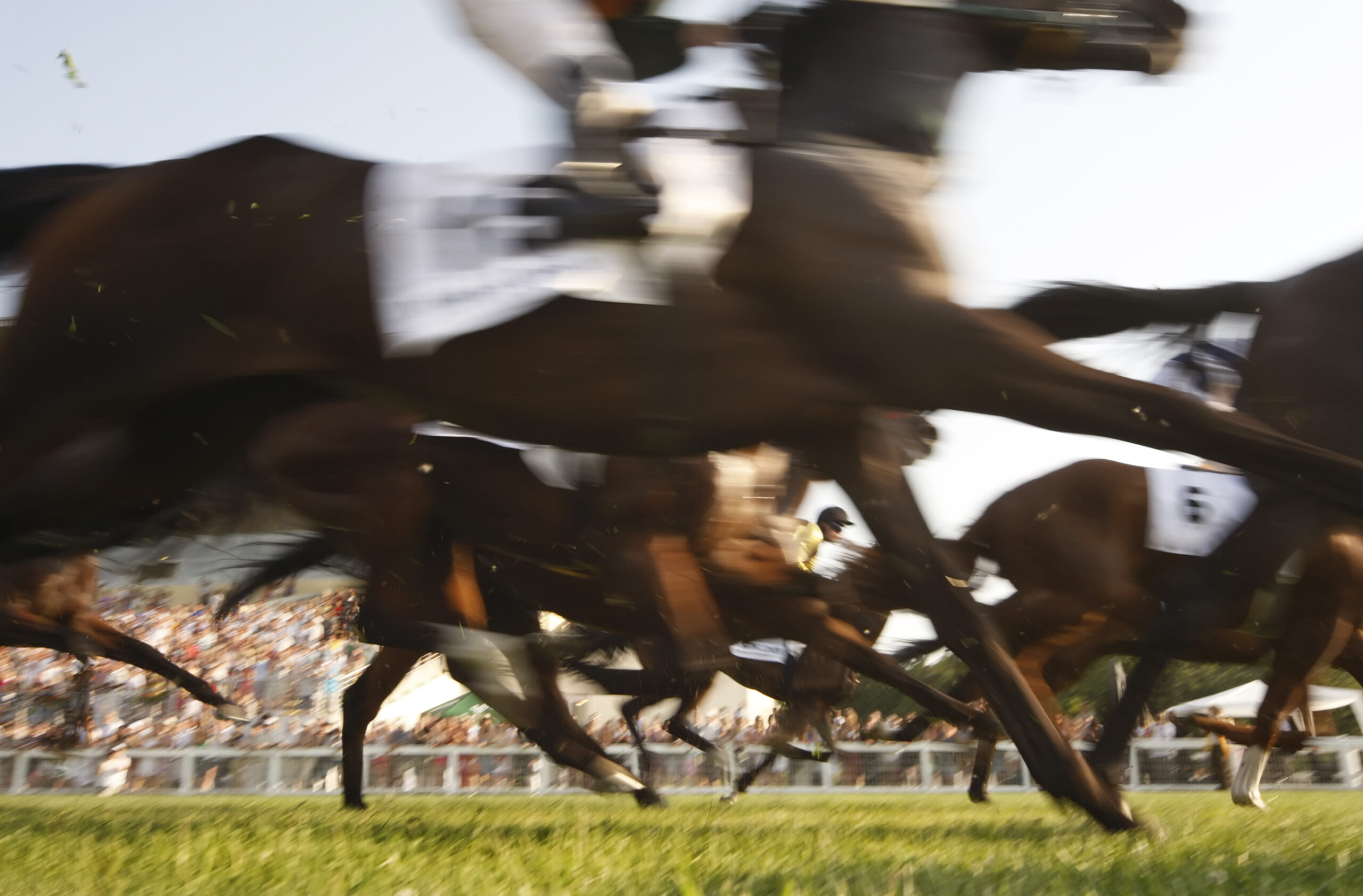 What to Know When Attending Eagle Farm Races for the First Time