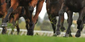 Fixed Odds Vs Tote Betting | The Pros & Cons Explained