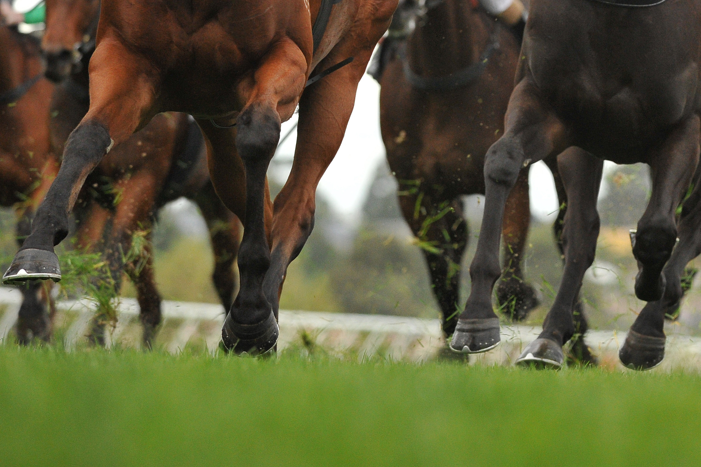 Fixed Odds Vs Tote Betting | The Pros & Cons Explained