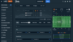 Stake.com live betting view – in-play markets and odds updates