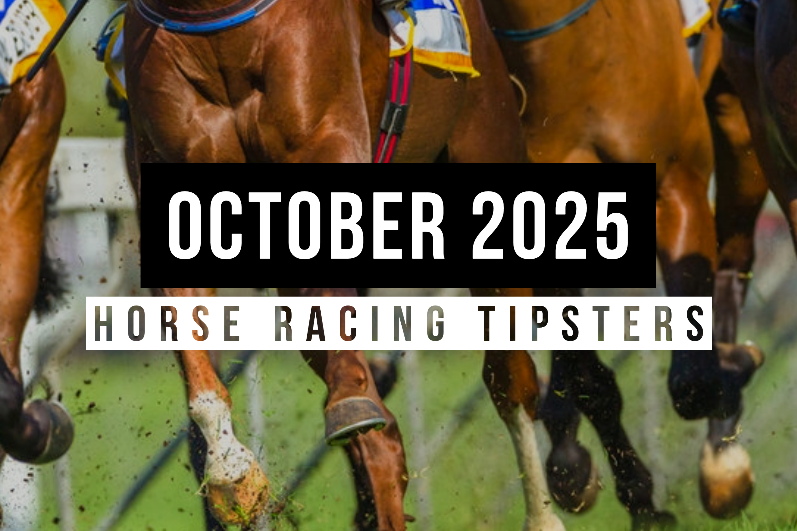 October 2025 | Top Horse Racing Tipsters Of The Month