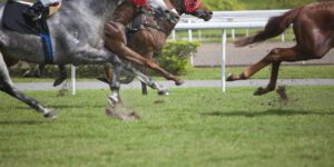 Mastering Horse Racing: Strategic Insights for Winning Bets