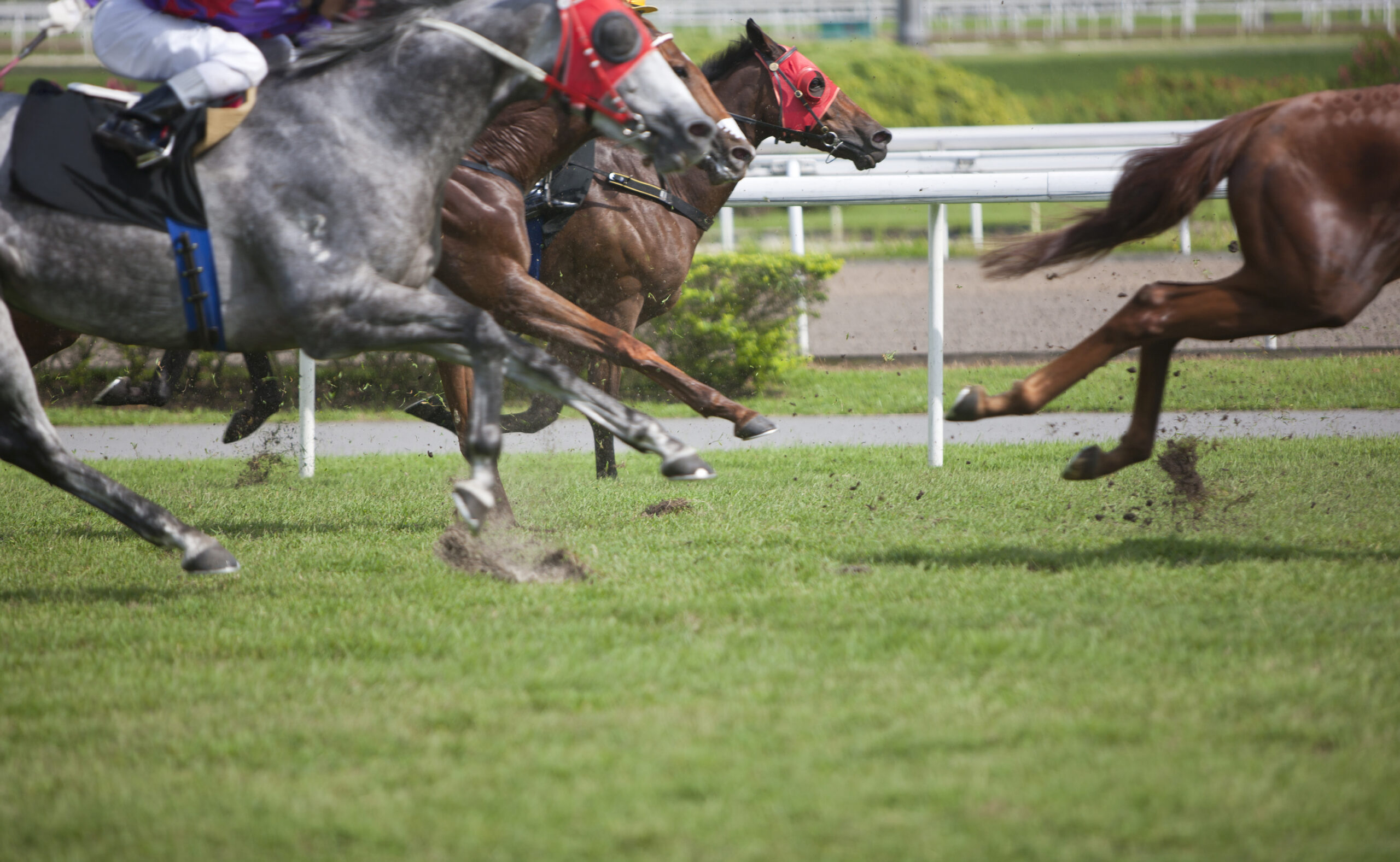 Mastering Horse Racing: Strategic Insights for Winning Bets