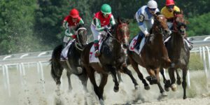 Betting by the Numbers in Horse Racing | Form & Statistics Overview