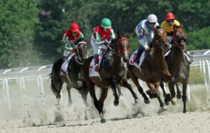 Betting by the Numbers in Horse Racing | Form & Statistics Overview