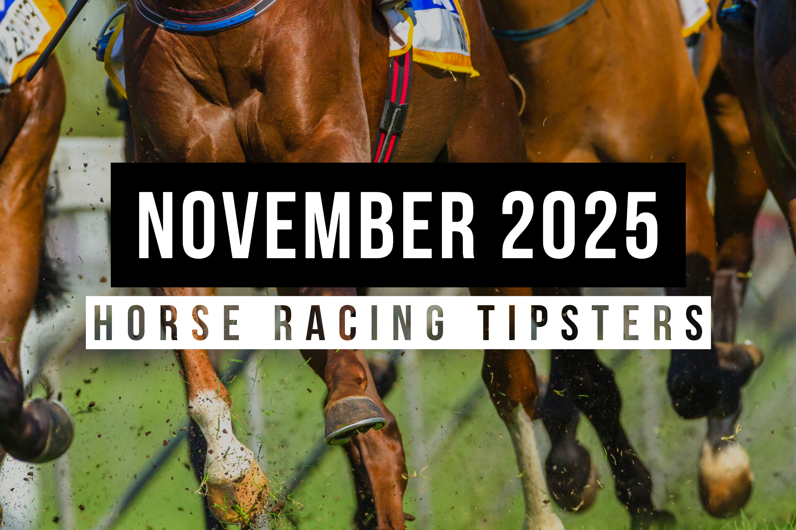 November 2025 | Top Horse Racing Tipsters Of The Month