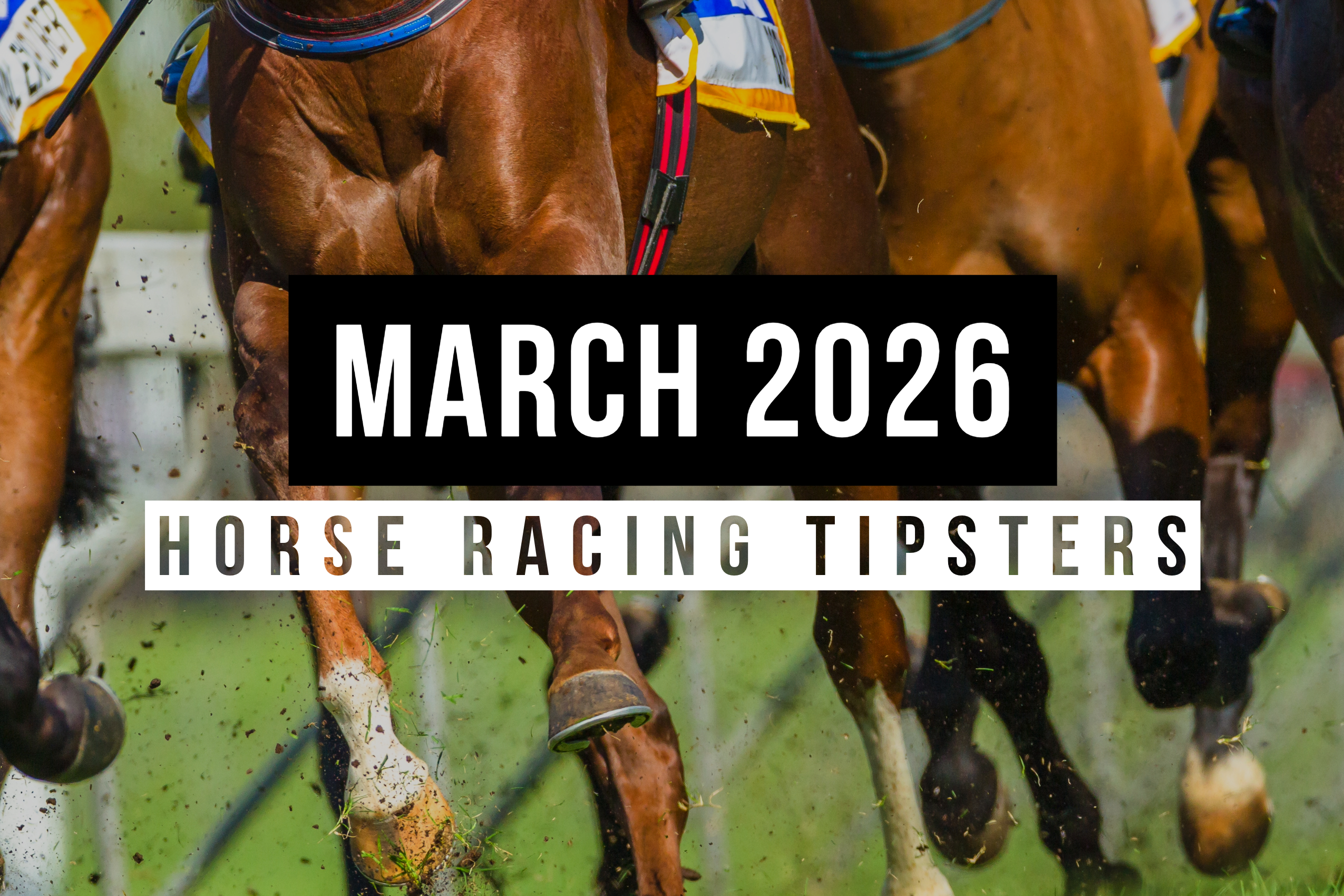 March 2026 | Top Horse Racing Tipsters Of The Month