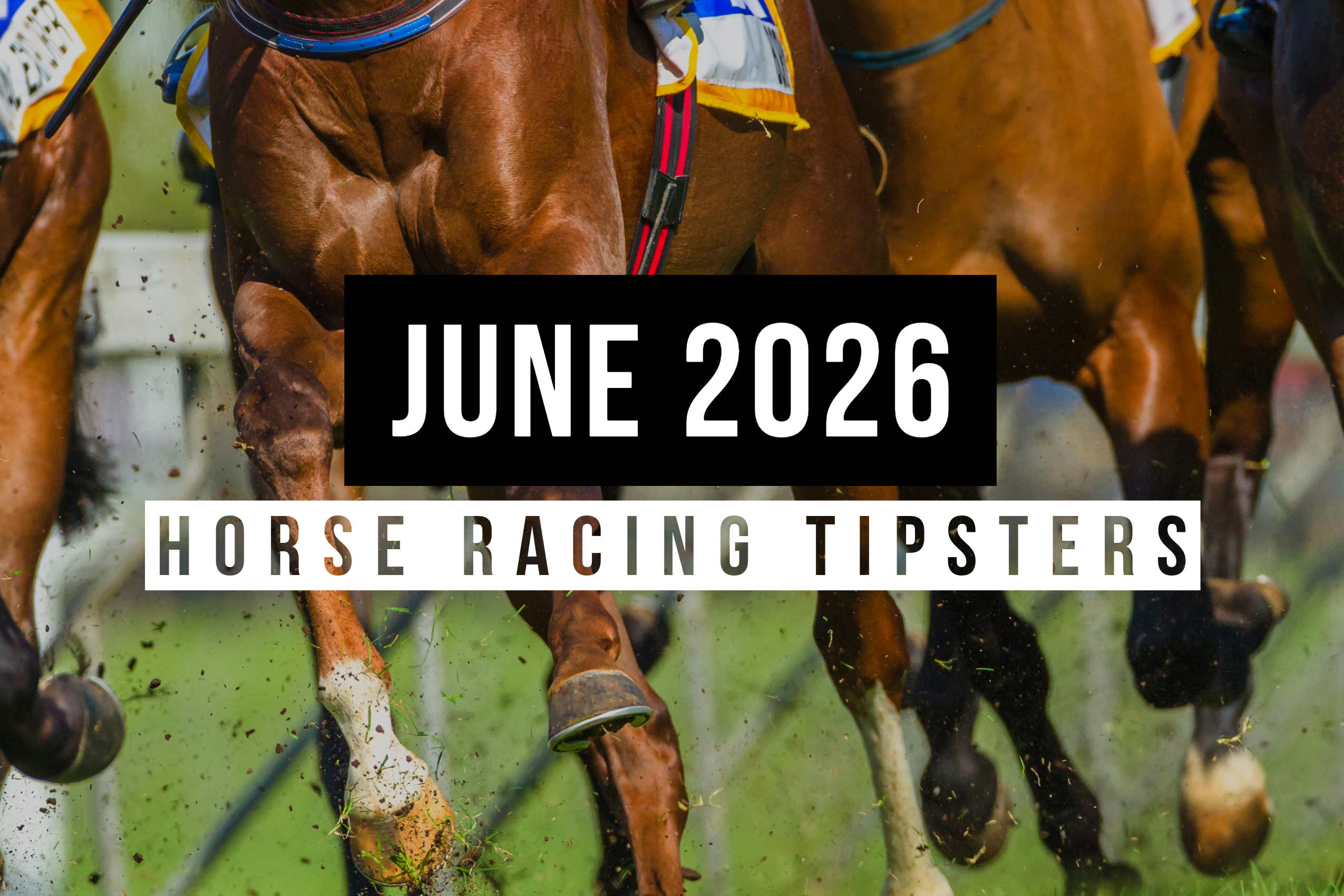June 2026 | Top Horse Racing Tipsters Of The Month