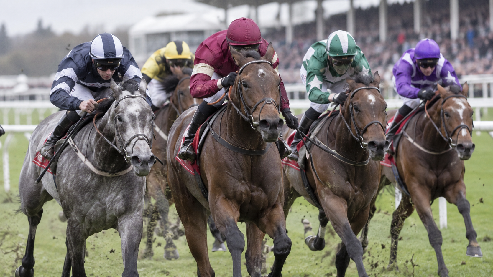 Types of Horse Racing Explained